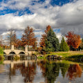 Finding Job Search Assistance Services in Boise, Idaho